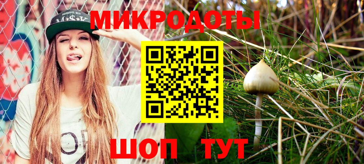 Псилоцибиновые грибы Magic Shrooms  Вход с VPN  Киселёвск 